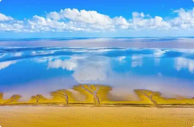 γǺ̬޸